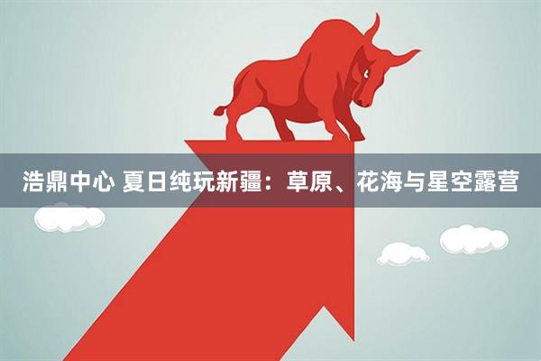 浩鼎中心 夏日纯玩新疆：草原、花海与星空露营